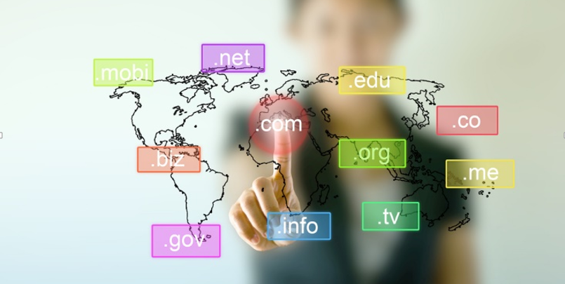 Domain Name Portfolio Diversification: Balancing Risk Across Digital Assets