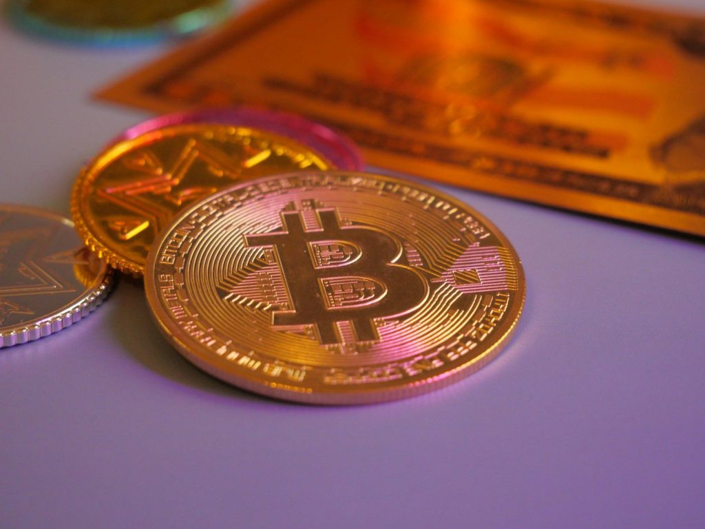 Domain Portfolio Systems: Tracking and Managing Digital Assets